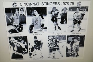 1978 - 79 Cincinnati Stingers Wha Photos 8x10 Messier Gartner Stewart Melrose Dion