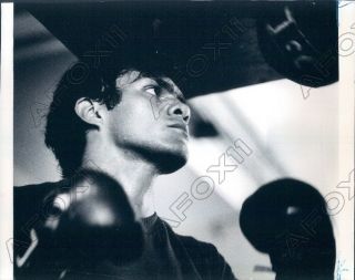 1978 International Boxing Hof Welterweight Champion Pipino Cuevas Press Photo