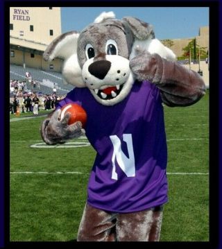 Northwestern Football mascot season ticket holder Bobblehead AGP purple jersey 4