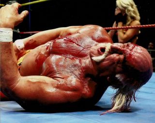 Hulk Hogan 8x10 Photo Picture Wwe Tna Wwf Wcw Hall Of Fame Impact Pro Wrestling