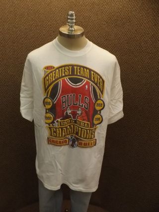 Starter Vtg 1996 Chicago Bulls Nba Basketball Four Time Champions T - Shirt Sz Xl