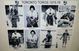 1975 - 76 Toronto Toros Wha Photos 8x10 Mahovlich Nedomansky Kirk Tataryn Folco.