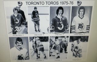 1975 - 76 Toronto Toros WHA photos 8x10 Mahovlich Nedomansky Kirk Tataryn Folco. 2