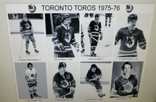 1975 - 76 Toronto Toros WHA photos 8x10 Mahovlich Nedomansky Kirk Tataryn Folco. 4