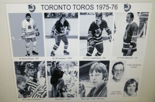 1975 - 76 Toronto Toros WHA photos 8x10 Mahovlich Nedomansky Kirk Tataryn Folco. 5
