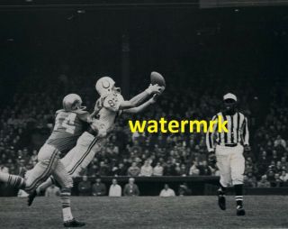 1965 Raymond Berry Baltimore Colts Vs Detroit Lions Nfl 8x10 Photo