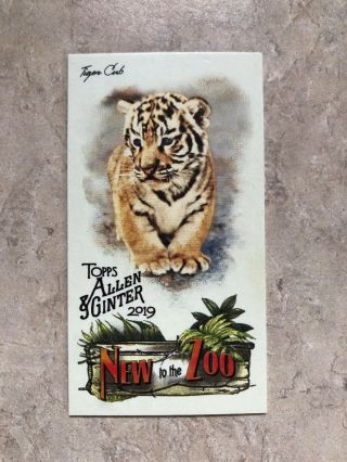 2019 Topps Allen & Ginter To The Zoo Mini Insert Card Nttz - 14 Tiger Cub