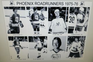 1975 - 76 Phoenix Roadrunners WHA photos 8x10 Ftorek Rautakallio Mononen Connor. 3