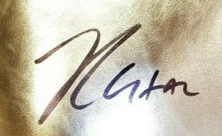 JULIO CESAR CHAVEZ Signed Autographed CLETO REYES Gold Boxing Glove.  WITNESS JSA 2
