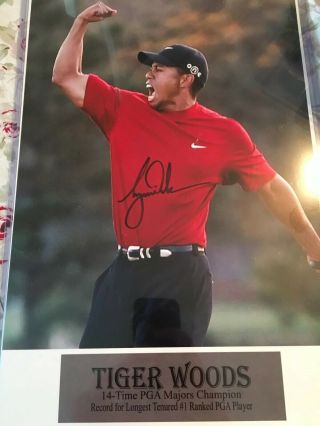 Beautifully Signed Tiger Woods Autographed Masters Champion Photo 11x14 W/coa