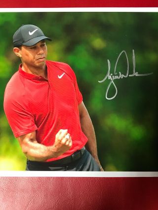 Tiger Woods Autographed Hand Signed 8x10 Photo W/coa