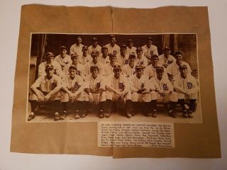 Tigers World Series Champions 1935 Huge Team Picture Hank Greenberg Sunday News