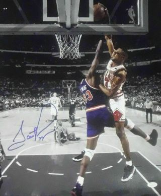 Scottie Pippen Autographed/signed Chicago Bulls 16x20 Photo Jsa 20881