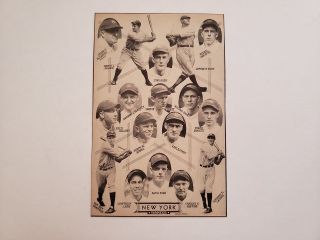 Yankees 1933 Team Picture Babe Ruth Lou Gehrig Russ Van Atta Ben Chapman