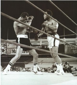 Muhammad Ali & Ken Norton - 8 " X 10 " Photo - 1976 Boxing - Yankee Stadium