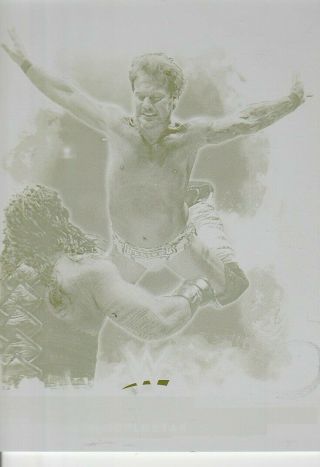 Chris Jericho 2017 Wwe Topps Undisputed Card Printing Plate 1 Of 1