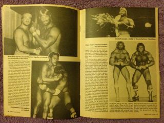 Wrestling Scene February 1983 - Dusty Rhodes,  Road Warriors,  Ric Flair Poster 3
