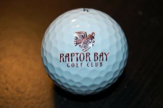 Golf Ball Logo Raptor Bay Golf Club Estero,  Fl