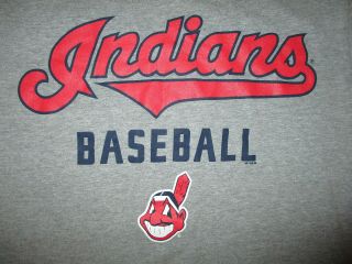 Cleveland Indians T Shirt Chief Wahoo Logo Tribe Baseball Nike Gray Adult Small