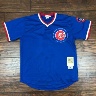 Mitchell Ness Andre Dawsin 8 Chicago Cubs 1987 Patch Baseball Jersey 50