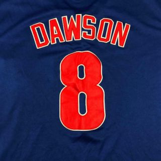 MITCHELL NESS ANDRE DAWSIN 8 CHICAGO CUBS 1987 PATCH BASEBALL JERSEY 50 6