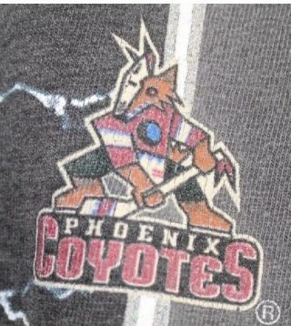 Vintage 90s Phx Coyotes Long Sleeve T Shirt Mens XL Hockey NHL Aztec Logo Salem 3