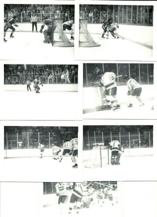 Rare Wha Hockey 7 Diff Candid Fan Photos Chicago Cougars Houston Aeros M Howe