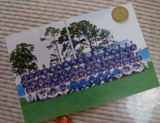 Photo Postcard York Mets Team Picture 1992 By Barry Colla Photography