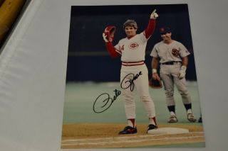 Pete Rose,  Cincinnati Reds,  Autographed 8 X 10 Color Glossy