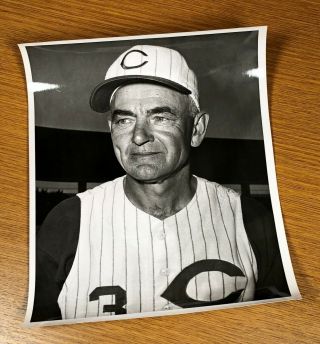 Wally Moses 8x10 Glossy Photograph Cincinnati Reds Baseball Team Picture