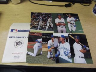 Ken Griffey Jr 1991 Barry Colla Postcard (8) Set Seattle Mariners