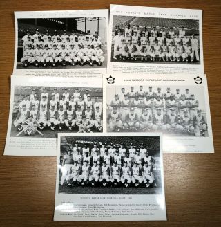 1960 To 1965 Toronto Maple Leaf Baseball Club Sports Team Photograph Photo