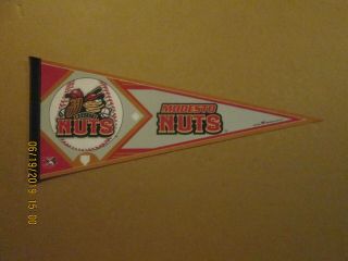 California League Modesto Nuts Vintage Circa 2005 Team Logo Baseball Pennant