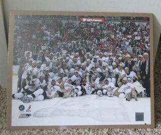 Rare 2009 Pittsburgh Penguins Stanley Cup Champions Poster Shrink Wrapped