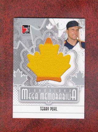 Terry Puhl 2010 11 In The Game Itg Canadiana Jersey Mm - 14 Houston Astros