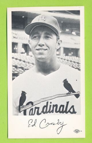 1970 St.  Louis Cardinals Team Issue Postcard - Ed Crosby Lpiu Union Label