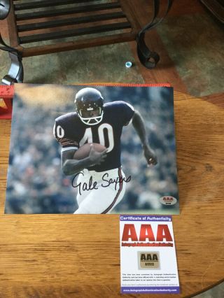 Chicago Bears Gale Sayers Autograph Photograph 8 " X 10 " W/