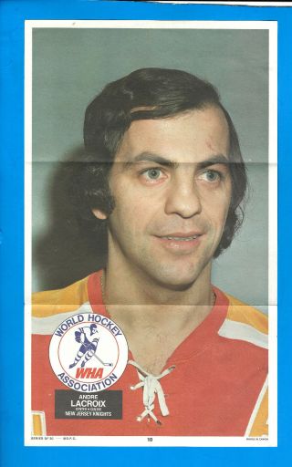 Andre Lacroix 1973 - 74 O - Pee - Chee Wha Poster Jersey Knights