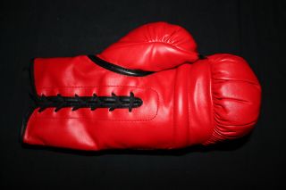 Larry Holmes Single Signed Everlast Boxing Glove PSA/DNA 2