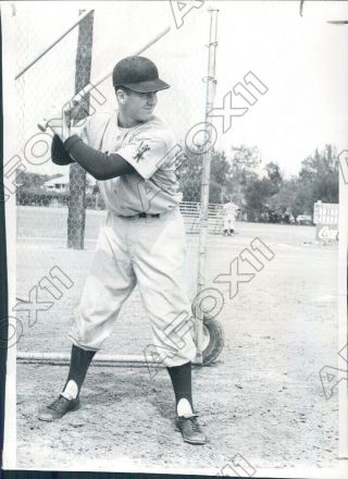 1958 Denver Bears Baseball Player Infielder Tommy Carroll Press Photo