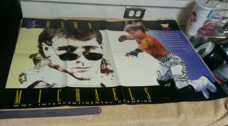 Never Hung Shawn Michaels Mr Perfect Curt Hennig Double Sided Poster Wwf