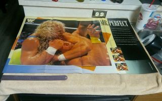 Never Hung Shawn Michaels Mr Perfect Curt Hennig Double Sided Poster WWF 2