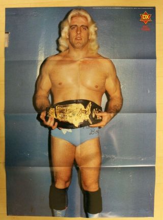 Ric Flair Vintage B2 Poster Japan Pro Wrestling Ajpw Wwf Njpw Nwa 2