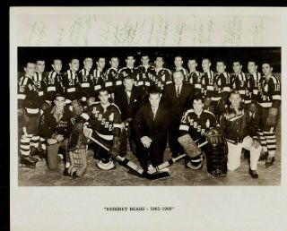 Vintage 1965 - 1966 Ahl Hershey Bears Hockey Team Photo Gary Dornhoefer