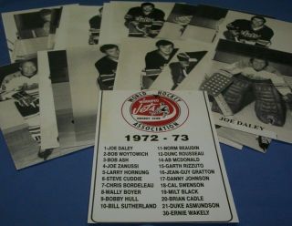 1972 - 73 Winnipeg Jets Wha Team Photo Set