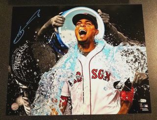 Xander Bogaerts Boston Red Sox Signed In Blue Autographed 16x20 Photo Mlb