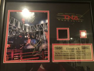 Tna Elevation X 2007 Framed Picture Rhino Aj Styles Autographed Wwe