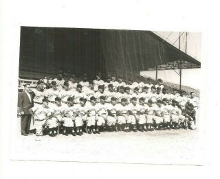 5x7 Cincinnati Reds 1950s Team Issued Team Photo