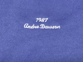 Mitchell & Ness Andre Dawson 8 Chicago Cubs 1987 Jersey (L Size 50) 3