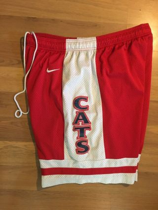 Vintage 90s Nike Arizona Wildcats Mens Xl Team Mesh Basketball Shorts Cats Ncaa